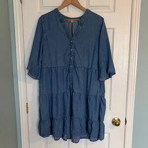 Cleo Petites chambray dress